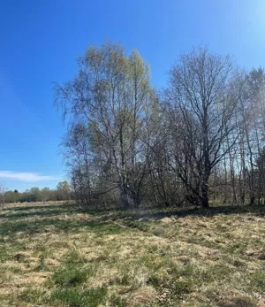Działka 854,00 m², Białogard, Tadeusza Nalepy, Sprzedaż