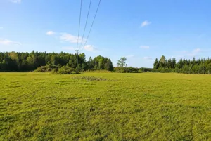 Działka 1 156,00 m², Nowe Budy, Tęczowa, Sprzedaż