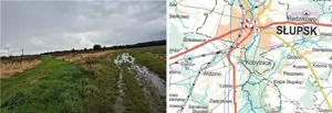 Działka 9 900,00 m², Widzino, Sprzedaż