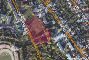 Działka 8 731,00 m², Gniezno, Witkowska, Sprzedaż