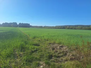 Działka 1 000,00 m², Serock, Współczesna, Sprzedaż