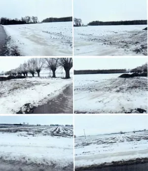 Działka 72 099,00 m², Zaborowo, Sprzedaż