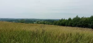 Działka 84,00 m², Zabratówka, Sprzedaż