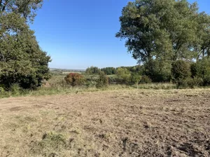 Działka 1 079,00 m², Otomino, Zrzeszyńców, Sprzedaż