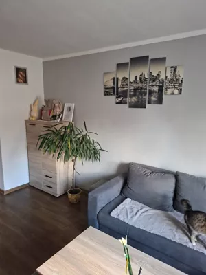 Mieszkanie dwupokojowe 47,00 m², Łazdoje, Sprzedaż