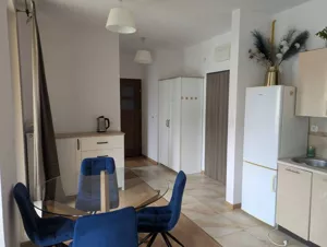 Mieszkanie dwupokojowe 43,00 m², Ciechanów, Wincentego Witosa, Wynajem