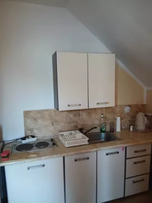 Mieszkanie dwupokojowe 52,00 m², Pamiątkowo, Witoldzińska, Wynajem