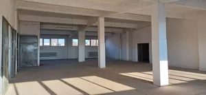 Magazyn 850,00 m², Sosnowiec, Pogoń, Ptasia, Wynajem