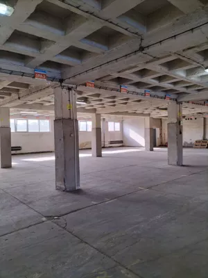 Magazyn 593,00 m², Sosnowiec, Pogoń, Ptasia, Wynajem