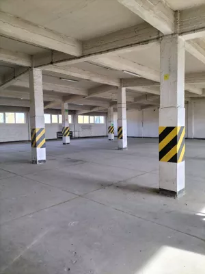 Magazyn 1 168,00 m², Sosnowiec, Pogoń, Ptasia, Wynajem