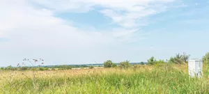 Działka 1 001,00 m², Kołbaskowo, Sprzedaż