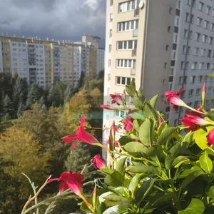 Mieszkanie trzypokojowe 63,00 m², Warszawa, Bielany, Josepha Conrada, Sprzedaż
