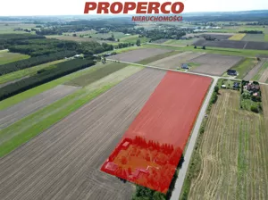 Działka 15 300,00 m², Kije, Sprzedaż