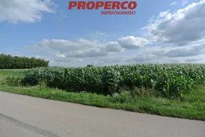 Działka 11 000,00 m², Wiślica, Sprzedaż