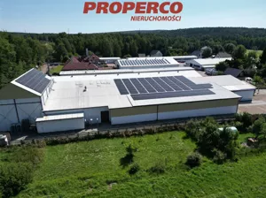 Magazyn 1 316,50 m², Zagnańsk, Sprzedaż