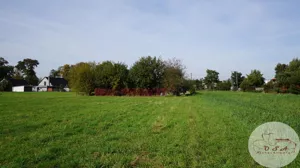 Działka 981,00 m², Białężyce, Sprzedaż