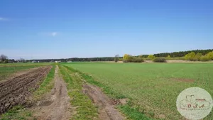 Działka 822,00 m², Młodzikówko, Sprzedaż