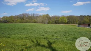 Działka 997,00 m², Mosina, Pożegowska, Sprzedaż