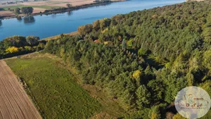 Działka 5 781,00 m², Stęszew, Sprzedaż