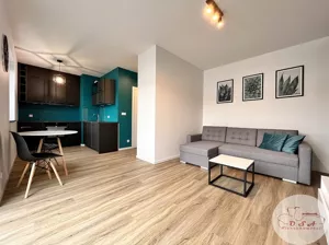 Mieszkanie jednopokojowe 28,10 m², Poznań, Nowe Miasto, Stefanii Wołynki, Wynajem