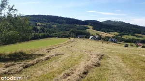 Działka 3 566,00 m², Walim, Adama Mickiewicza, Sprzedaż
