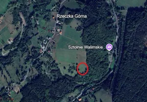 Działka 9 600,00 m², Walim, Adama Mickiewicza, Sprzedaż