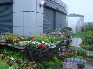 Lokal użytkowy 140,00 m², Miłoszyce, Przy Lesie, Sprzedaż