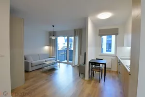 Mieszkanie jednopokojowe 32,00 m², Wrocław, Stare Miasto, Braniborska, Wynajem