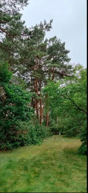 Działka 2 747,00 m², Józefów, Księdza Malinowskiego, Sprzedaż