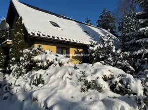 Domy BS3-DS-313436-2 Łapanów