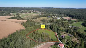Działka 8 900,00 m², Alwernia, Sprzedaż