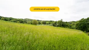 Działka 4 700,00 m², Biskupice, Sprzedaż