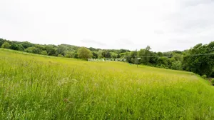 Działka 4 700,00 m², Biskupice, Sprzedaż