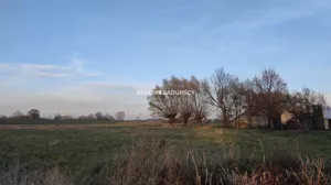 Działka 1 900,00 m², Bochnia, Sprzedaż