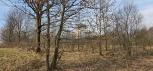 Działka 2 847,00 m², Brzeźnica, Sprzedaż