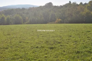 Działka 1 677,00 m², Dobczyce, Sprzedaż