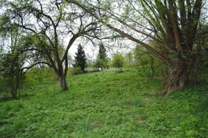 Działka 2 340,00 m², Gołcza, Sprzedaż