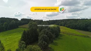 Działka 3 080,00 m², Kalwaria Zebrzydowska, Sprzedaż