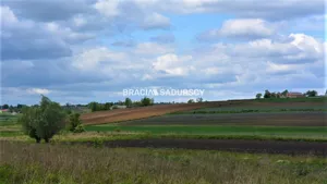 Działka 1 464,00 m², Koniusza, Sprzedaż