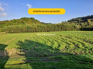 Działka 4 800,00 m², Koniusza, Sprzedaż