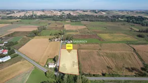 Działka 4 500,00 m², Koszyce, Sprzedaż