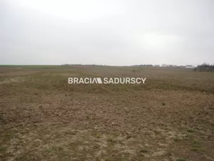 Działka 10 000,00 m², Liszki, Sprzedaż