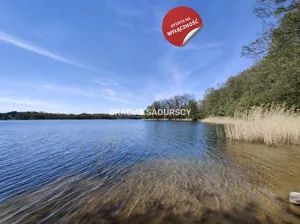 Działka 22 941,00 m², Łukta, Sprzedaż