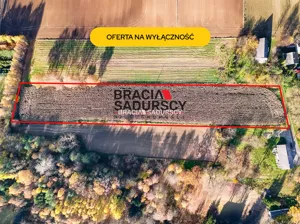 Działka 6 000,00 m², Miechów, Sprzedaż