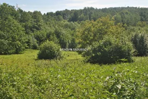 Działka 3 800,00 m², Mogilany, Sprzedaż
