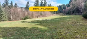 Działka 8 000,00 m², Myślenice, Sprzedaż