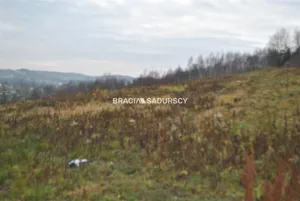 Działka 22 100,00 m², Myślenice, Sprzedaż
