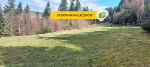 Działka 8 000,00 m², Myślenice, Sprzedaż