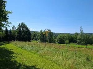 Działka 11 155,00 m², Nowy Wiśnicz, Sprzedaż