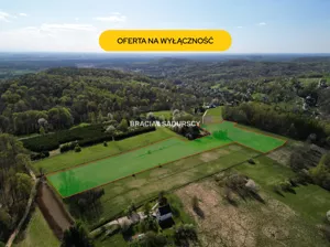 Działka 22 110,00 m², Chrzanów, Podlas, Sprzedaż